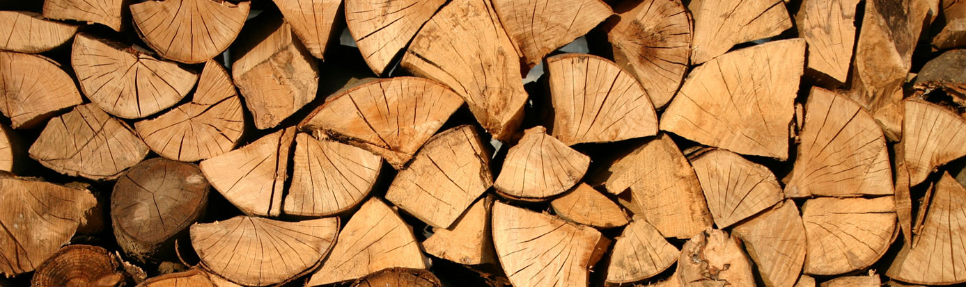 Benefits of burning wood